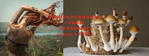 бошки Алексеевка
