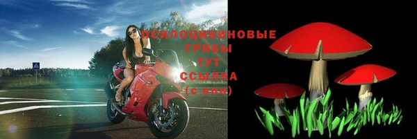 дурь Аркадак