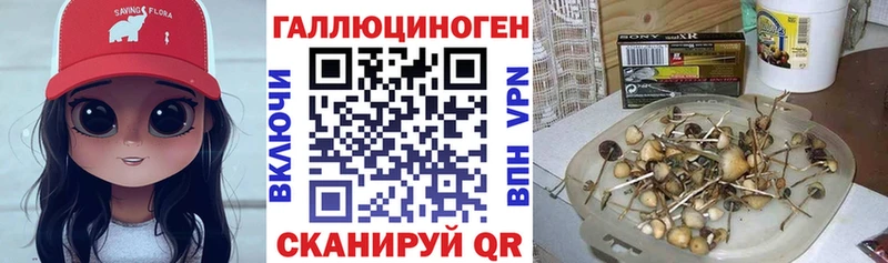 Псилоцибиновые грибы Psilocybine cubensis Новомосковск