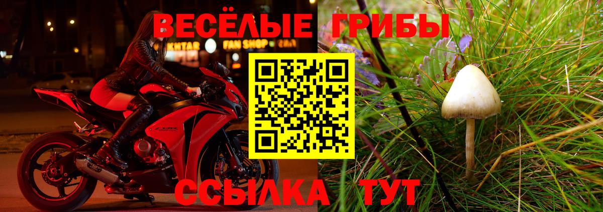 Псилоцибиновые грибы Psilocybine cubensis  Вход с VPN  Новомосковск 