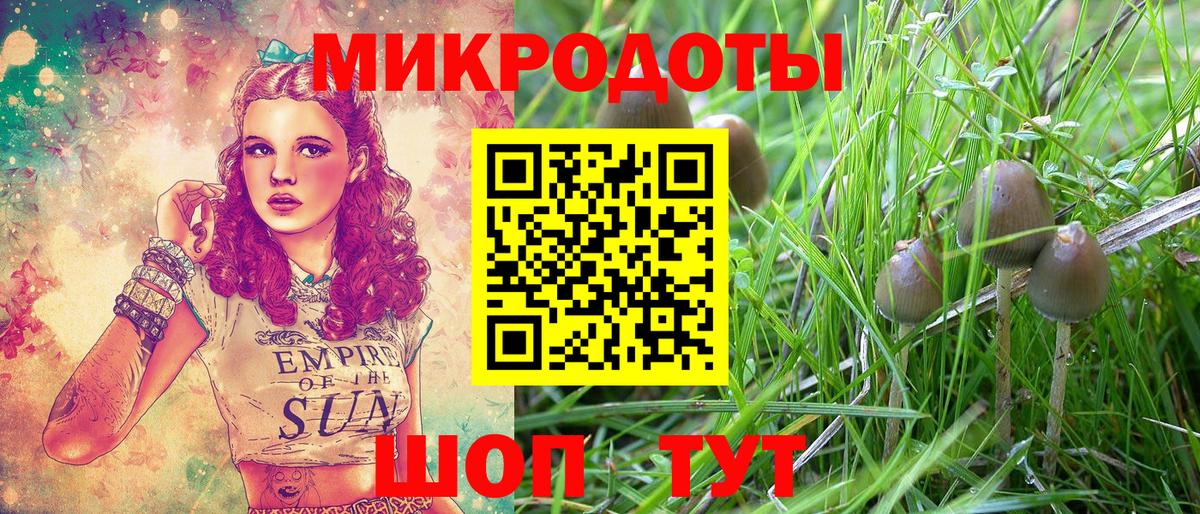 Галлюциногенные грибы Magic Shrooms Новомосковск