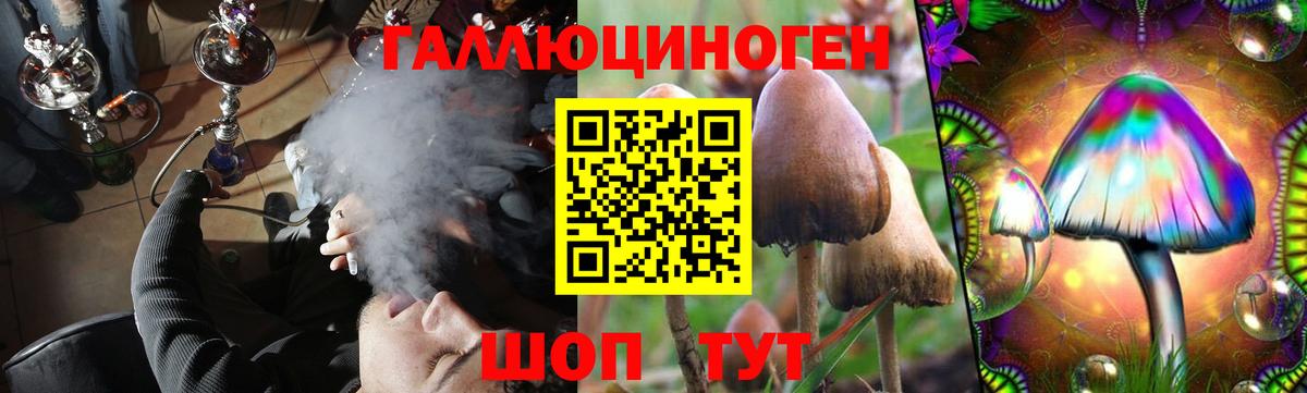 ГАШИШ  Новомосковск  Мефедрон   Вход с VPN  Каннабис  Кокаин 