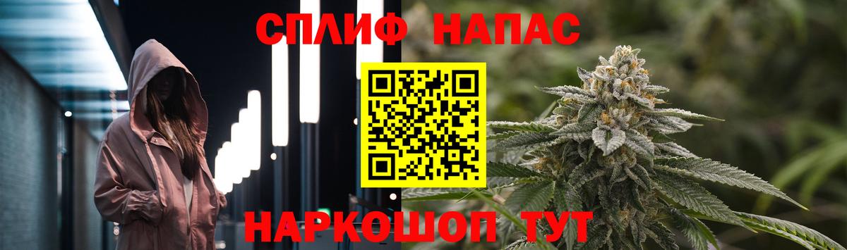 Каннабис гибрид Новомосковск